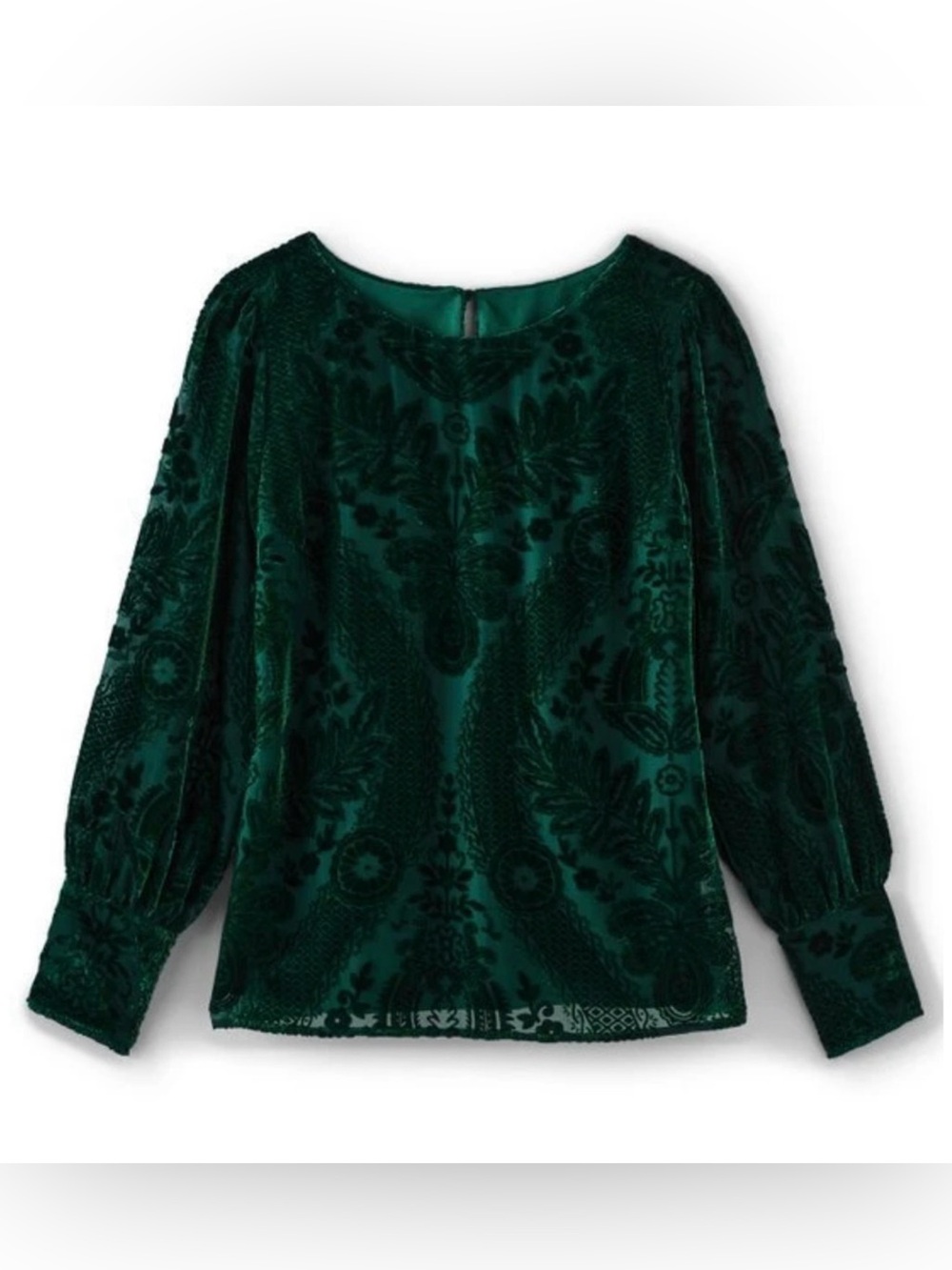 Soft Surroundings Vanetta Top Green Velvet Burnout Blouse Long Sleeve 2X NWOT